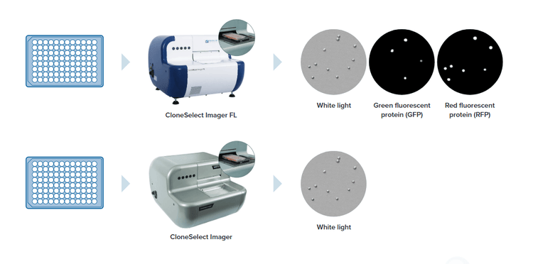 CloneSelect Imager FL Optimize Clonal Outgrowth Workflow