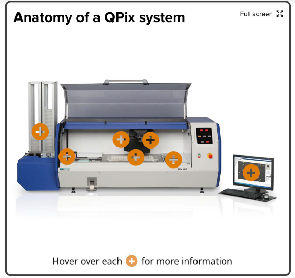 Anatomy of a QPix system