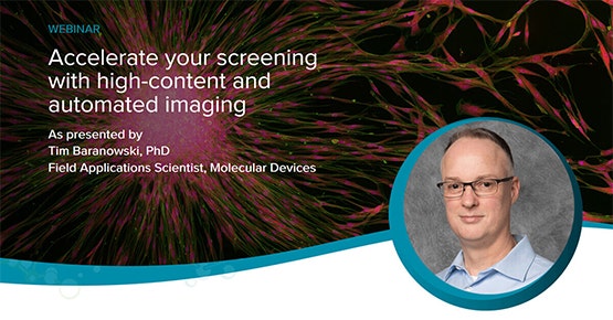 accelerate-your-screening-with-high-content-and-automated-imaging