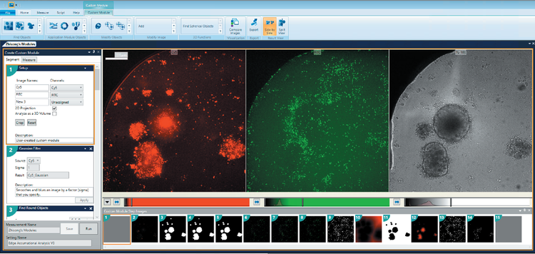 3D Custom Module Editor interface with mitotracker (left), T-cell (middle) and TL channel (right)