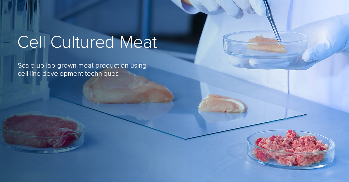 Cell Cultured Meat