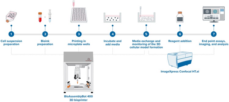 Bioprinting assay workflow