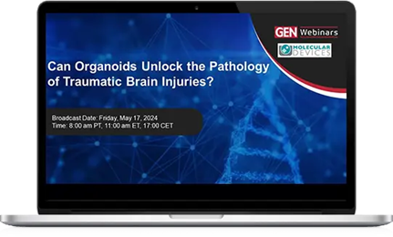 Traumatic Brain Injuries Webinar