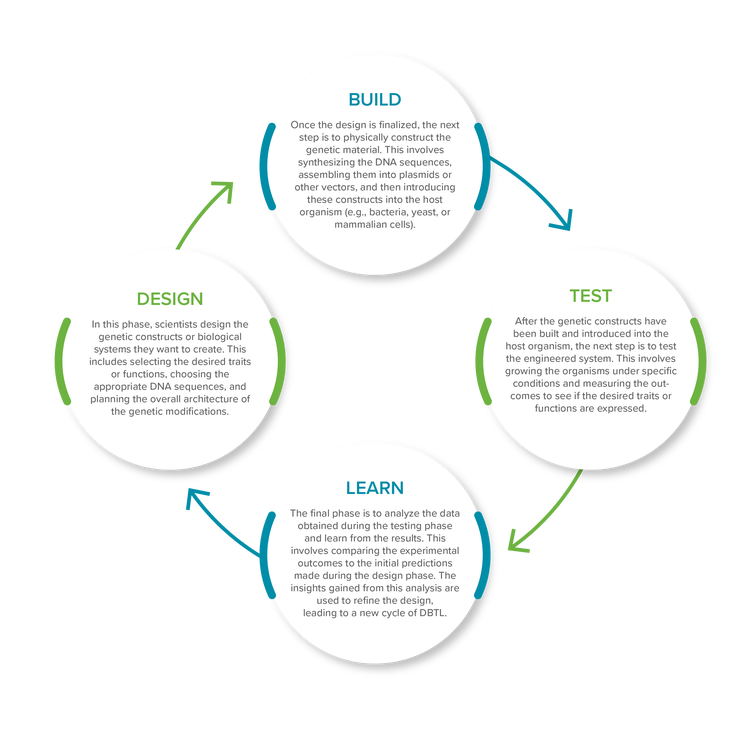 DBTL (Design-Build-Test-Learn) approach