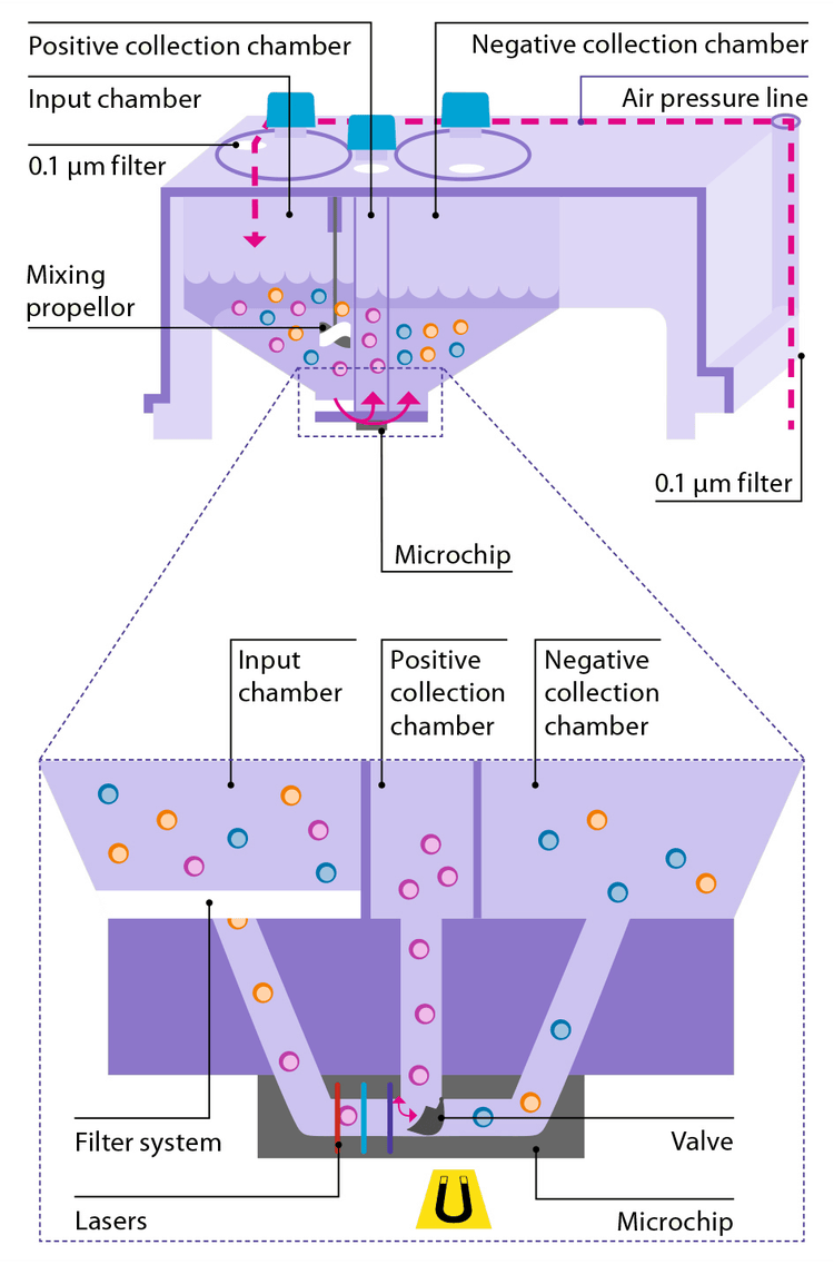 The sorting mechanism of the MACSQuant Tyto Cell Sorter