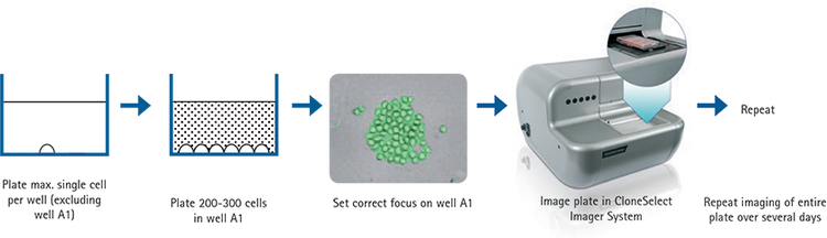 CloneSelect Imager System to verify monoclonality based on objective image analysis after single cell sorting