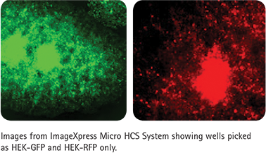 Wells picked as HEK-GFP and HEK-RFP only