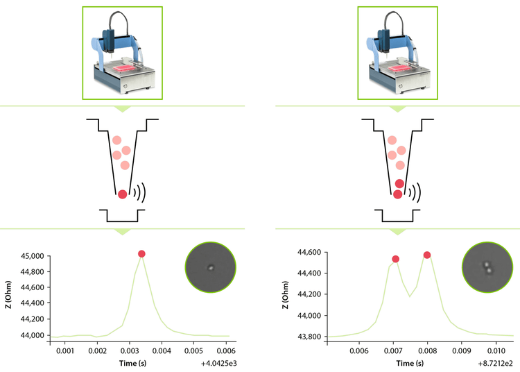 The cell deposition mechanism of the DispenCell