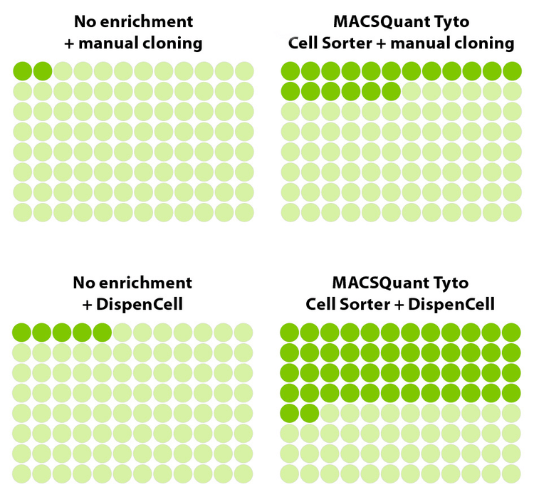 Workflow efficiency estimation