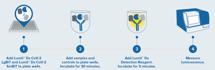 Assay workflow for Lumit Dx SARS-CoV-2 Immunoassay