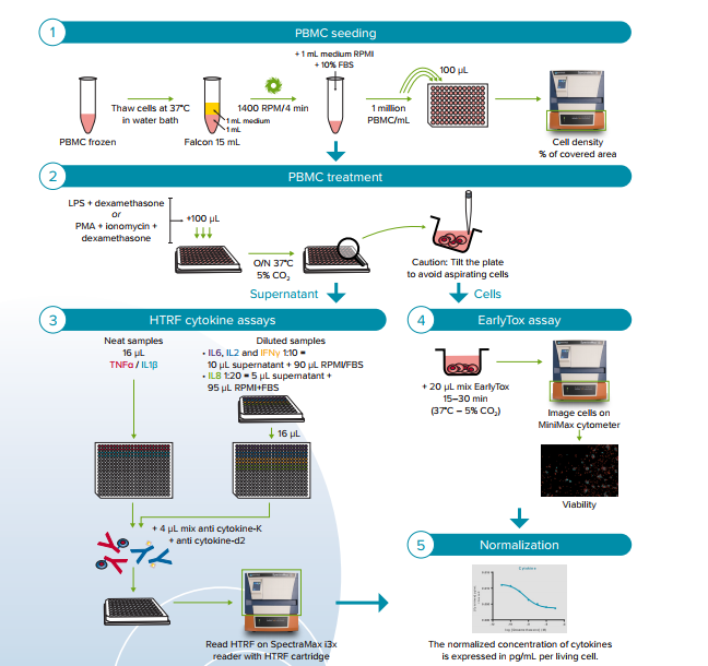 Workflow Normalize HTRF cytokine assays to cell viability