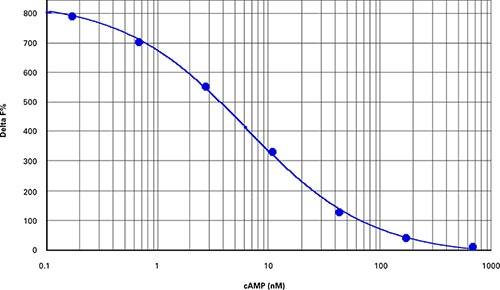 cAMP standard curve