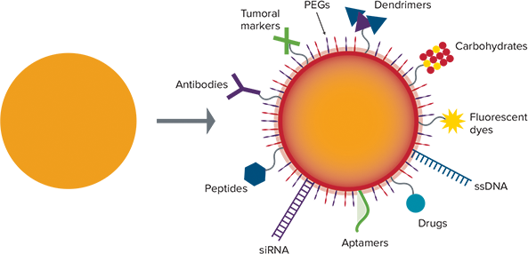 Spectral Signature Analysis Of Surface Functionalized Nanoparticles