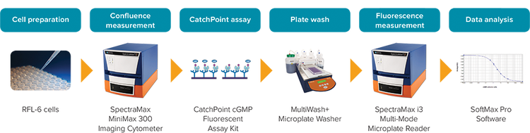 CatchPoint cGMP workflow
