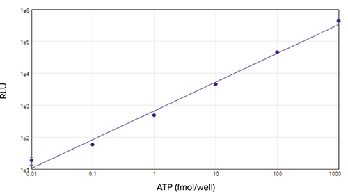 ATP standard curve