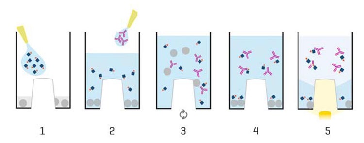 Assay workflow summary