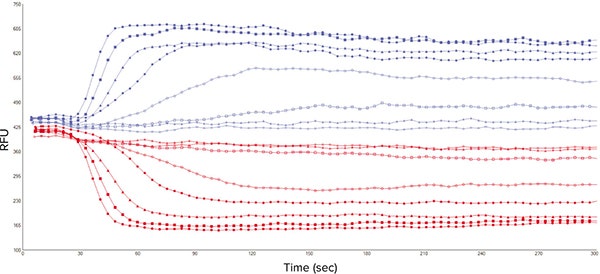 Representative 340 nm and 380 nm fluorescence signal traces from 8 wells of a 96-well microplate