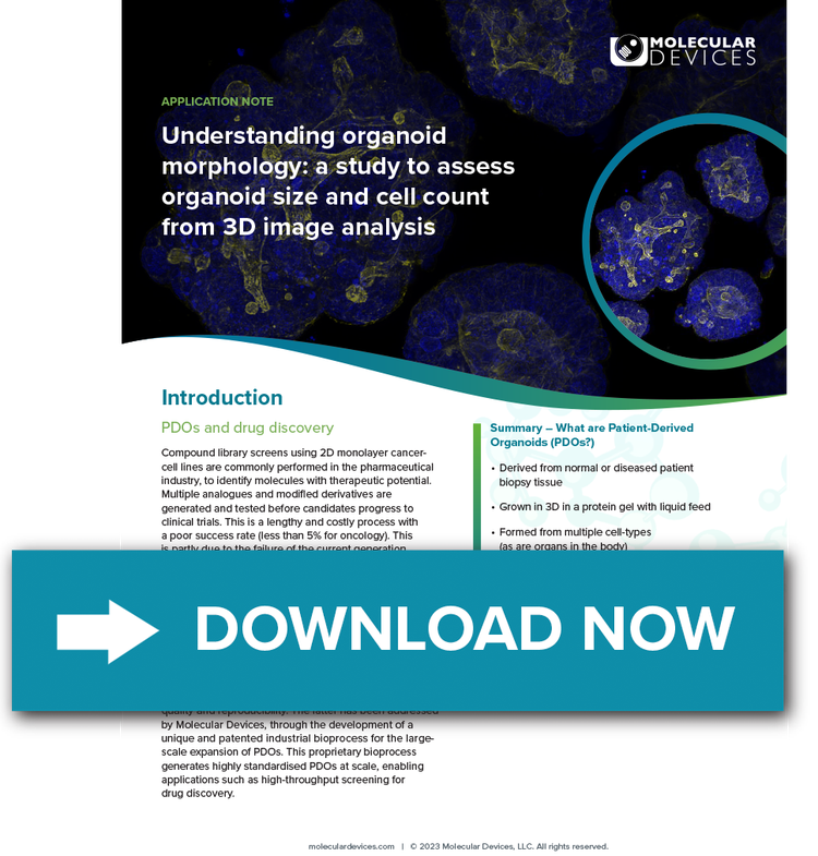 Organoid Morphology using 3D Image Analysis