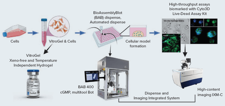 Integrated System Workflow