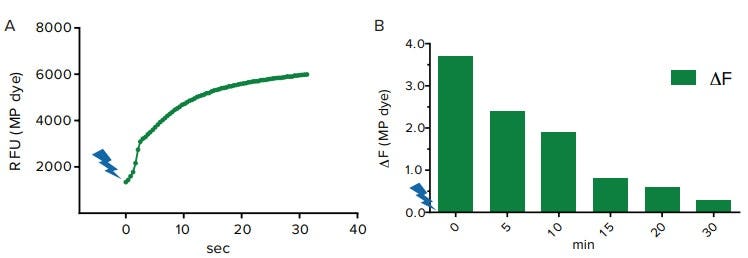 A-Light-induced depolarization & (B) Time course experiment showing the change in maximum FLIPR