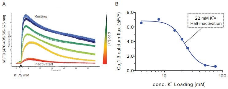 (A) Cells loaded with FLIPR Calcium 6 & (B) K+ inactivation curve