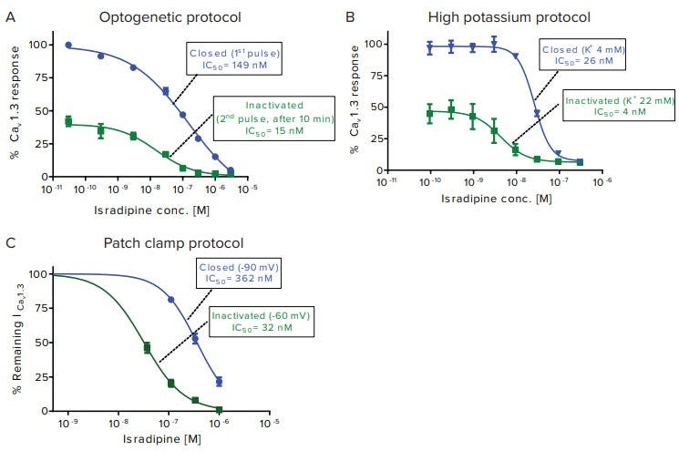 Isradipine state dependency impact upon pharmacology