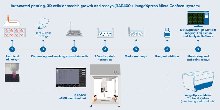 BAB400 3D printing and dispensing workflow integrated with Imager for endpoint assays