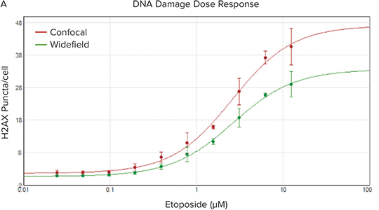 Graph comparing DNA damage responses to Etoposide treatment using confocal (red) vs. widefield (green) imaging