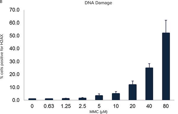 A plot of the dose response, showing the percentage of H2AX positive cells against MMC concentration