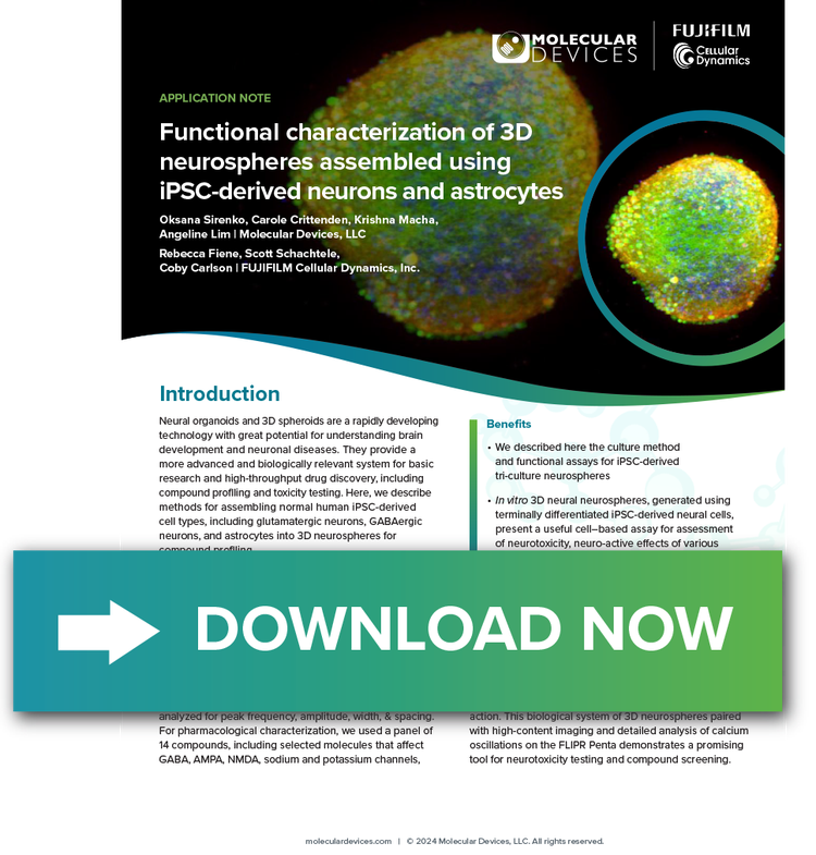 Functional characterization of 3D neurospheres assembled