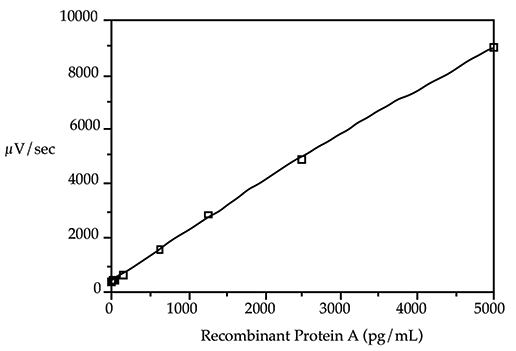 Recombinant Protein G standard curve