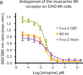 Antagonism of the muscarinic M1 receptor on CHO M1 cell