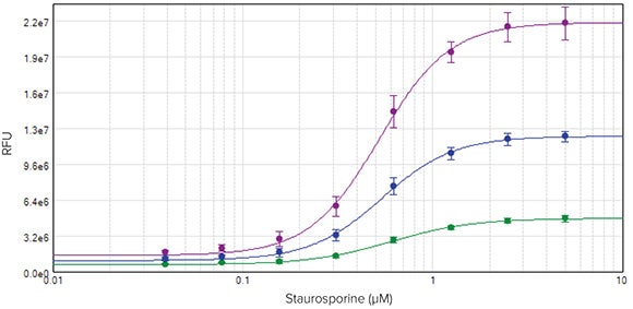 Concentration-response curves for HeLa cells treated with staurosporine for four hours
