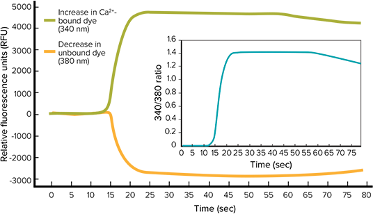 Ratiometric analysis with FURA-2 QBT Calcium Assay