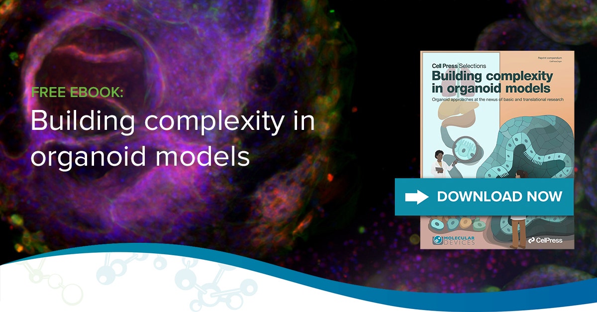 Building complexity in organoid models