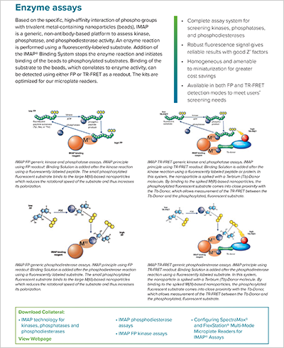 Enzyme assays