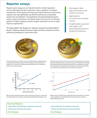 Reporter assays