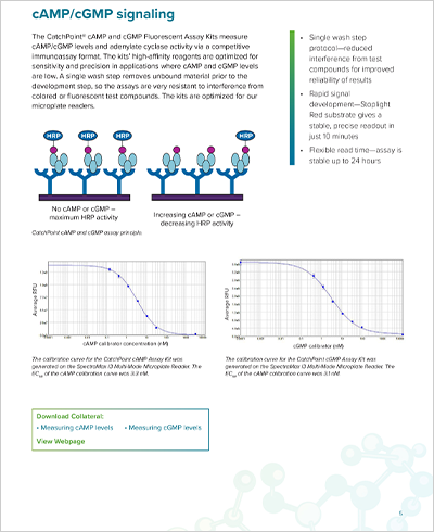 cAMP/cGMP signaling