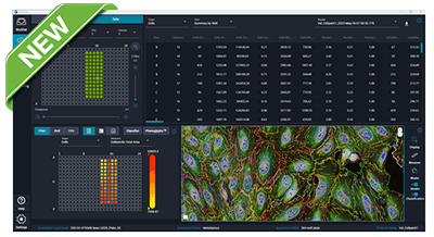 IN Carta Image Analysis Software