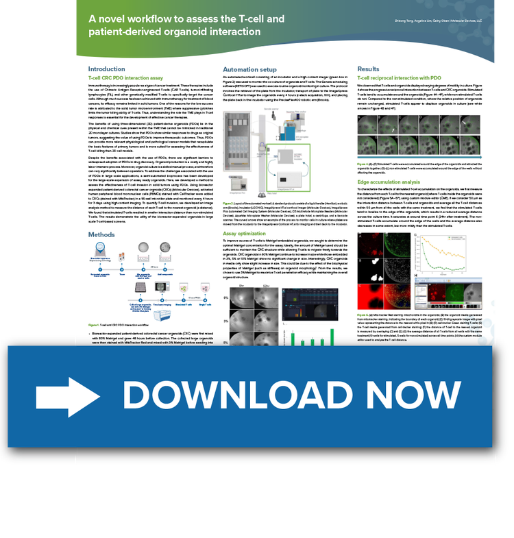 T-cell and patient-derived organoid interaction