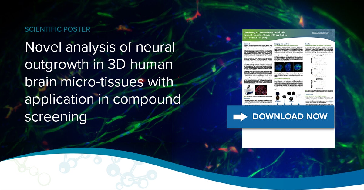 Novel analysis of neural outgrowth in 3D human brain micro-tissues