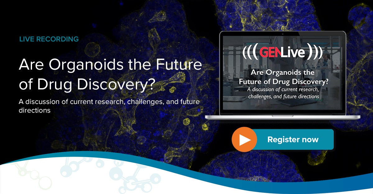 Are organoids the future of Drug Discovery