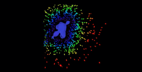 3D Cell Imaging and Analysis