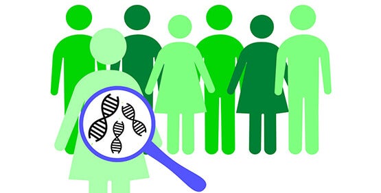 SNP genotyping a process for analyzing genetic differences among individuals