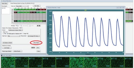 Live cell time-lapse imaging