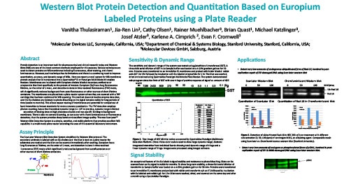 Protein Detection Based on Europium Labeled Proteins