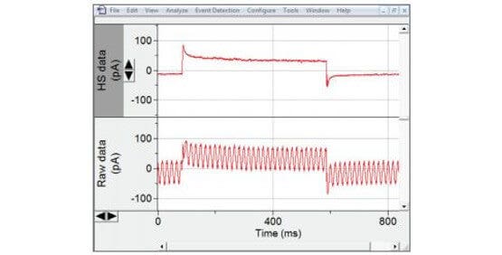 Macroscopic currents from excised patches