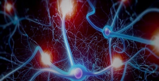 Electrophysiology techniques studying current or voltage changes across a cell membrane