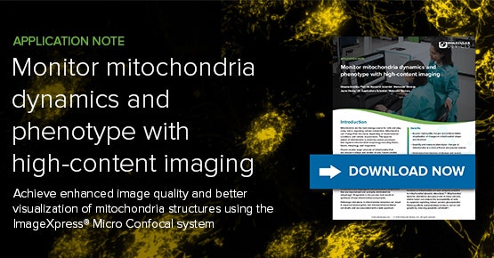 Monitor mitochondria dynamics and phenotype with HCI