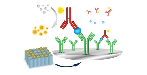 Get Faster Results with ELISA Kits